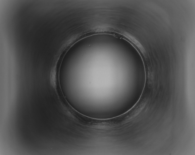 X0000100920485200806241347