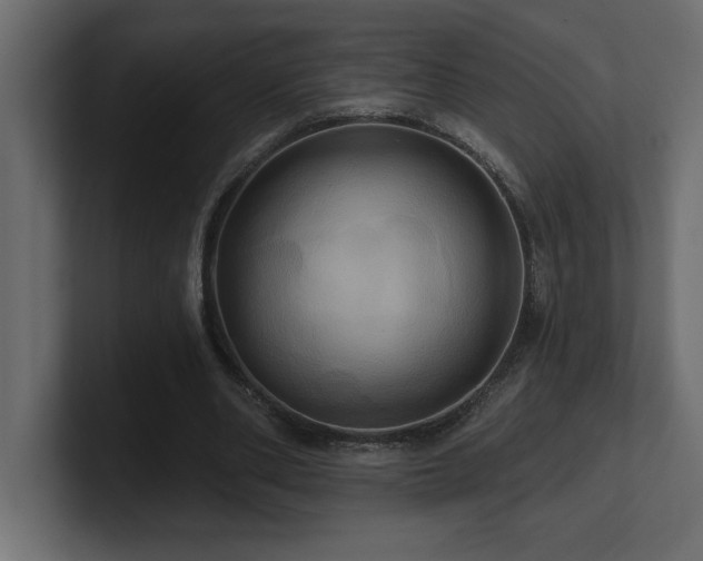 X0000100920486200806241347