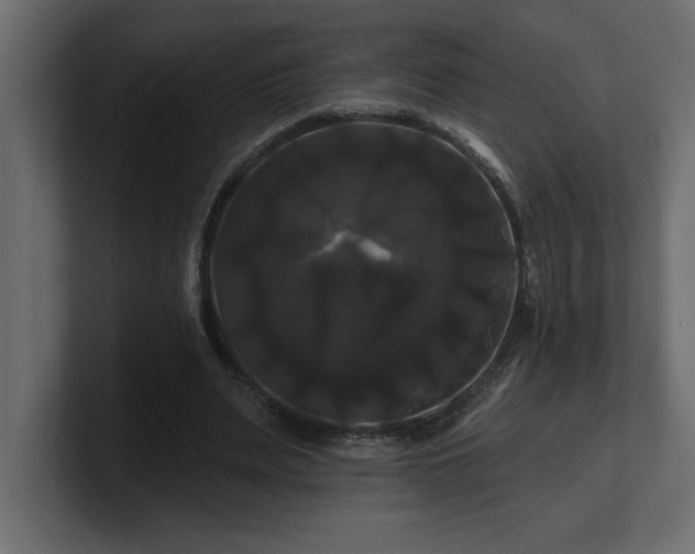 X0000100920487200806241347