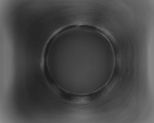 X0000100920488200806241347