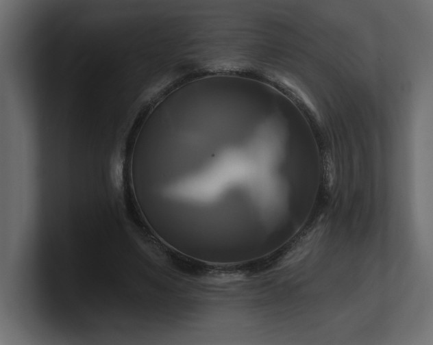 X0000100920491200806241347