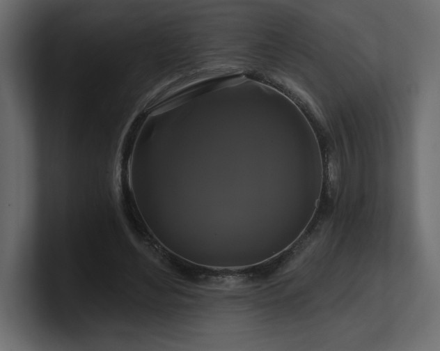 X0000100920492200806241347