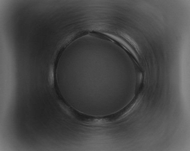 X0000100920493200806241347