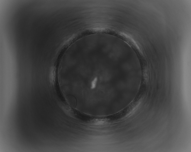 X0000100920495200806241347