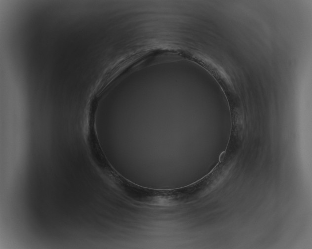 X0000100920496200806241347