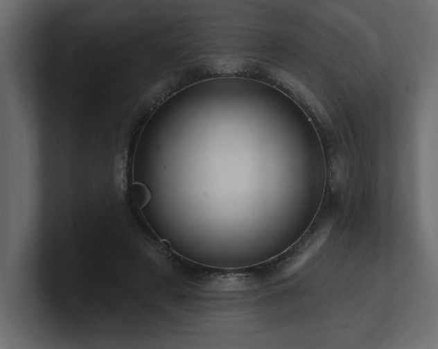 X0000100920497200806241347