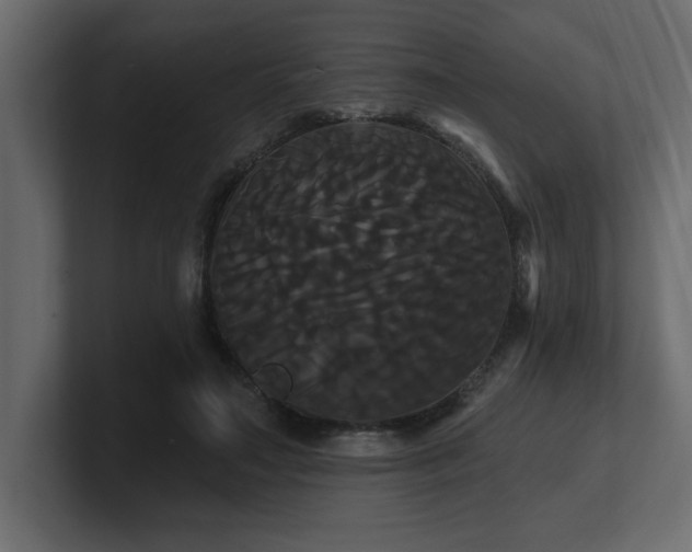 X0000100920499200806241347