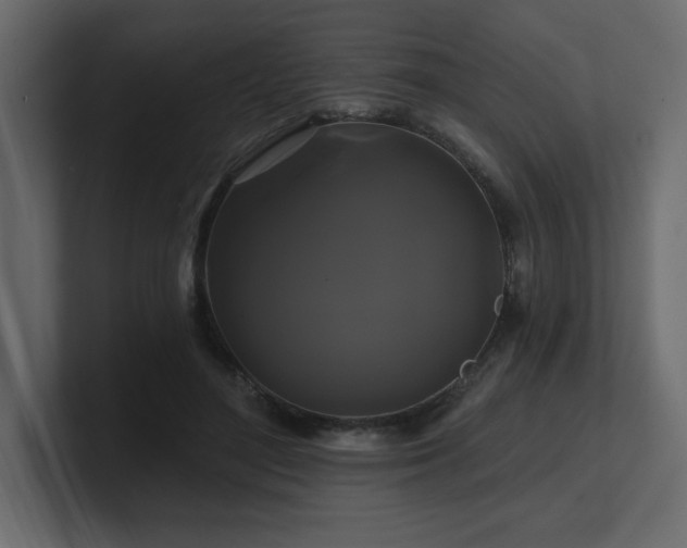 X0000100920500200806241347