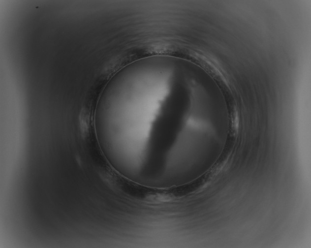 X0000100920503200806241347