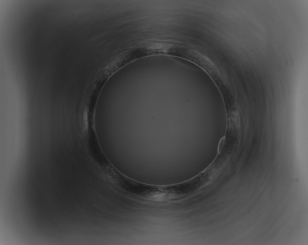 X0000100920504200806241347