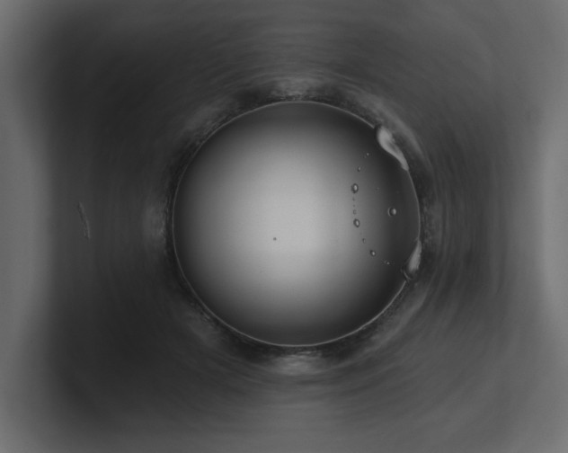 X0000100920505200806241347