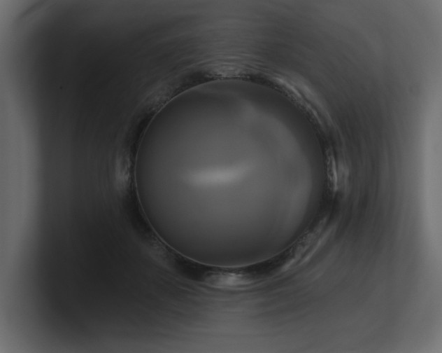 X0000100920507200806241347