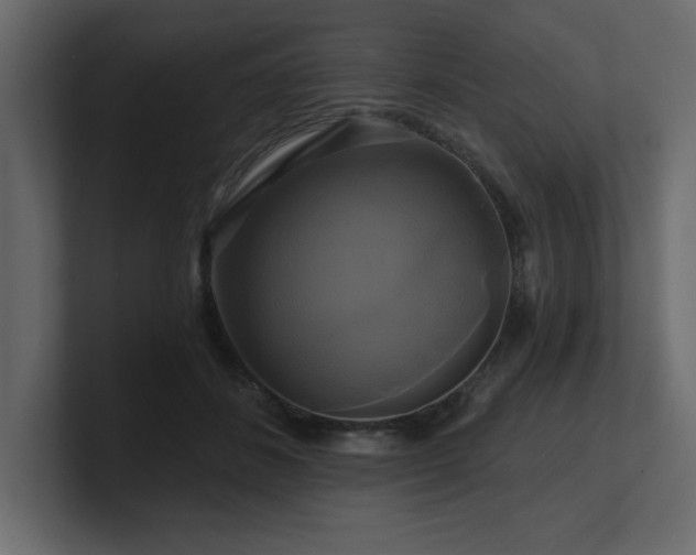 X0000100920508200806241347