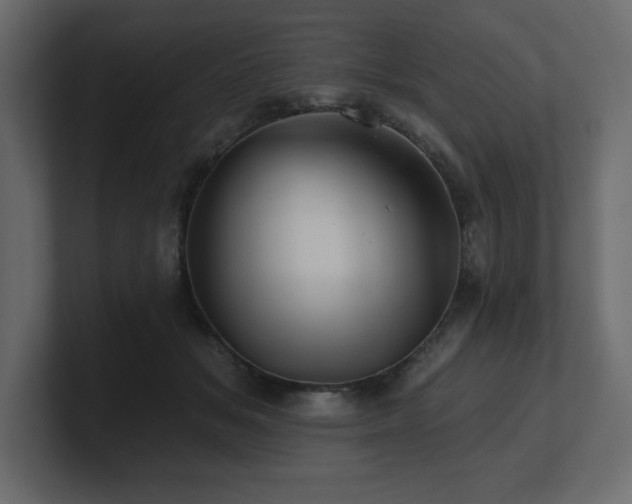 X0000100920509200806241347