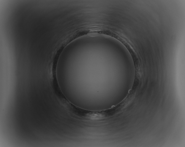 X0000100920512200806241347