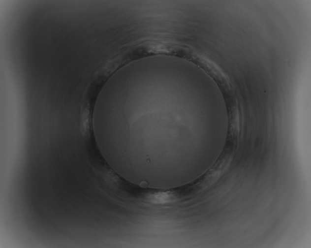 X0000100920513200806241347