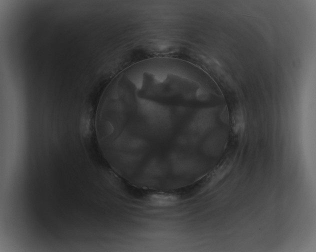 X0000100920515200806241347