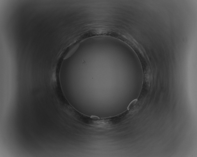 X0000100920516200806241347