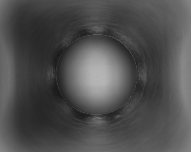 X0000100920518200806241347