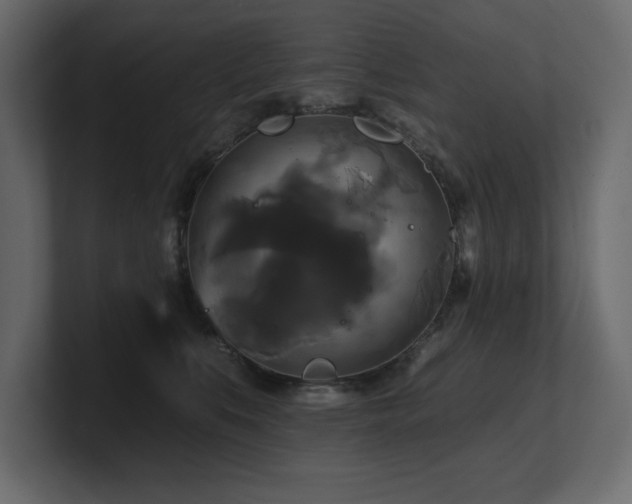 X0000100920519200806241347