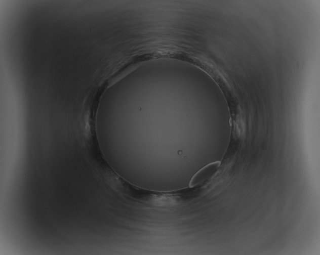 X0000100920520200806241347