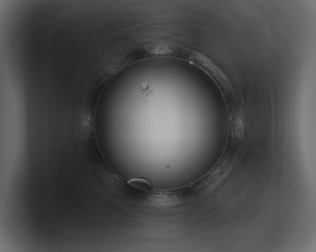 X0000100920521200806241347