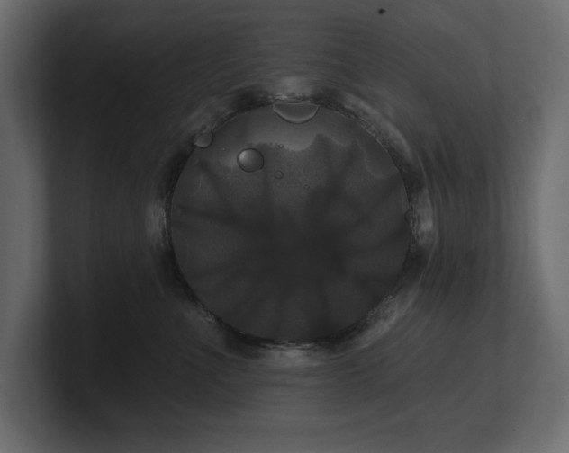 X0000100920523200806241347