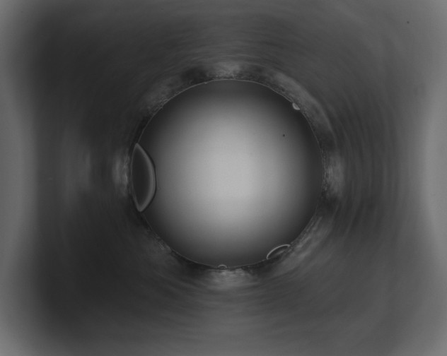 X0000100920525200806241347