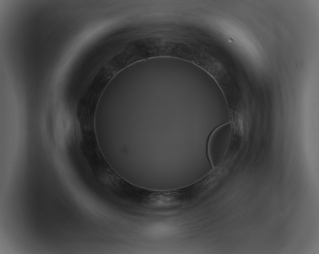 X0000100920526200806241347