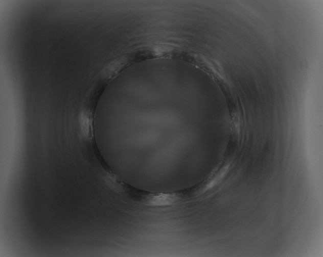 X0000100920527200806241347