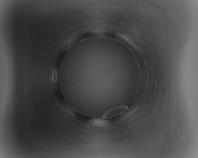 X0000100920528200806241347