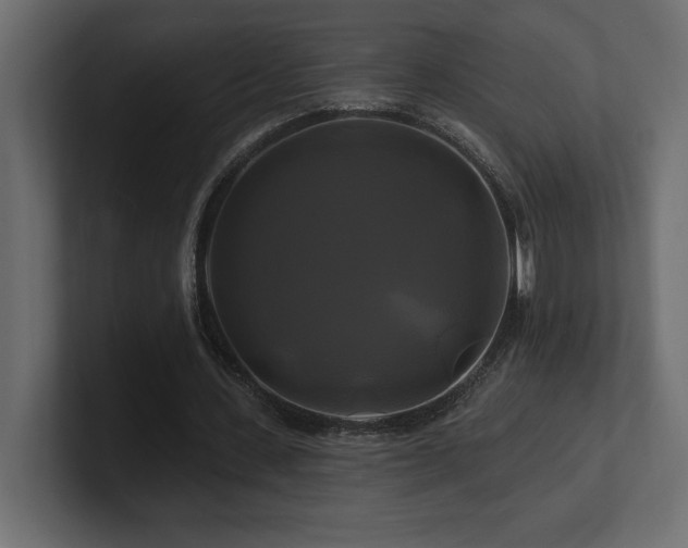 X0000100920531200806241346