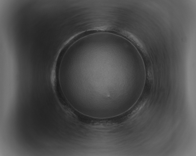 X0000100920532200806241346