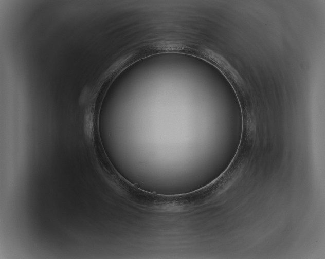 X0000100920533200806241346