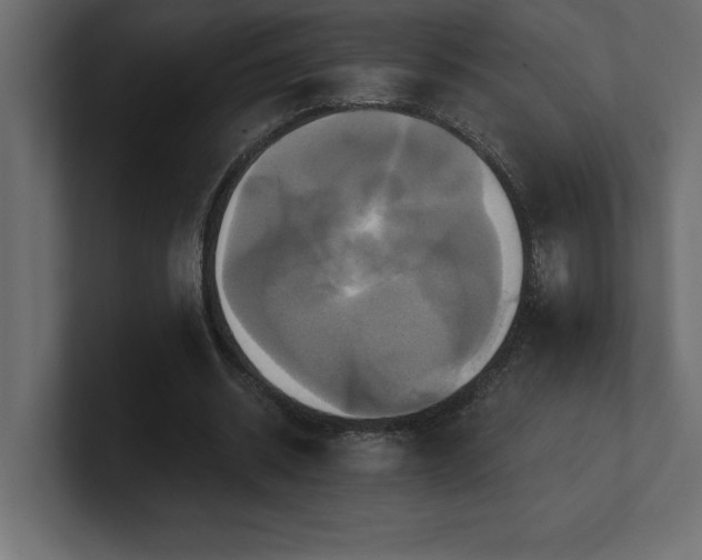 X0000100920534200806241346