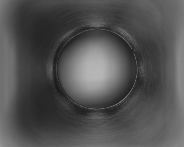 X0000100920535200806241346