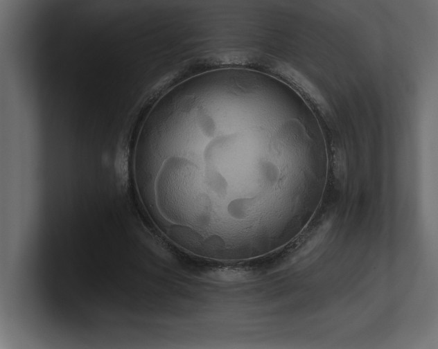 X0000100920537200806241346