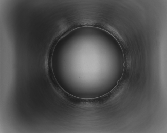 X0000100920538200806241346