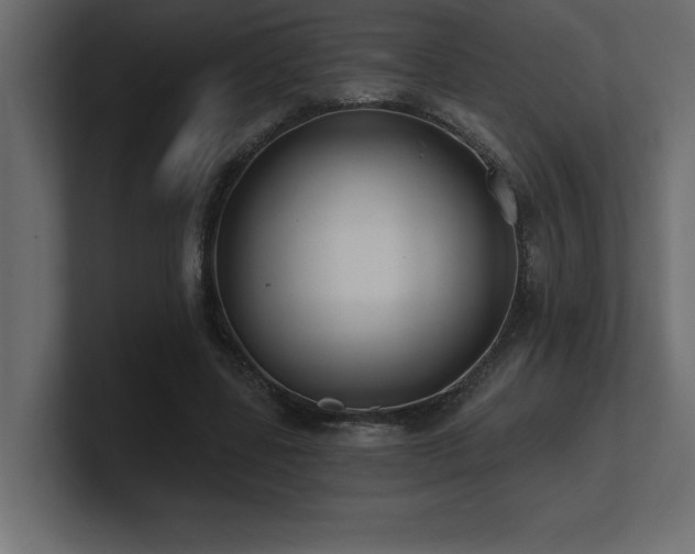 X0000100920539200806241346