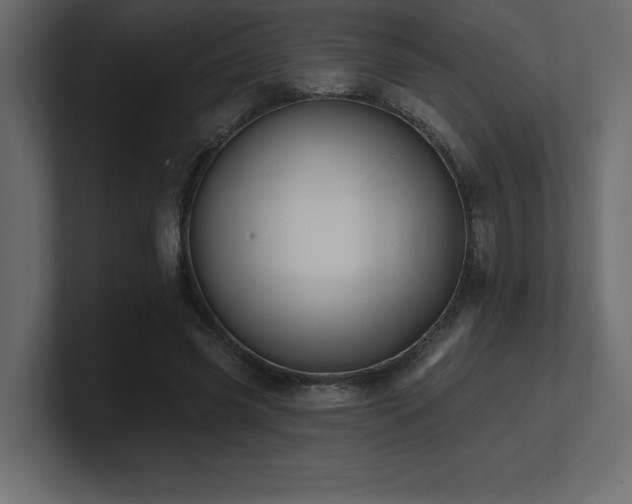 X0000100920541200806241346