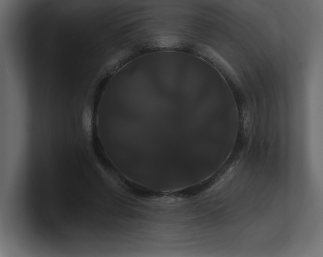 X0000100920542200806241346