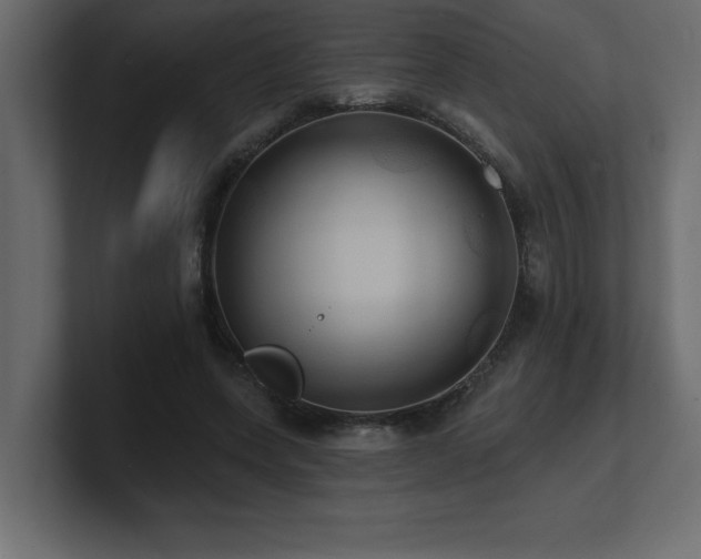 X0000100920543200806241346