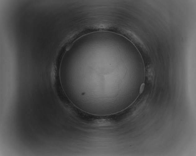 X0000100920544200806241346