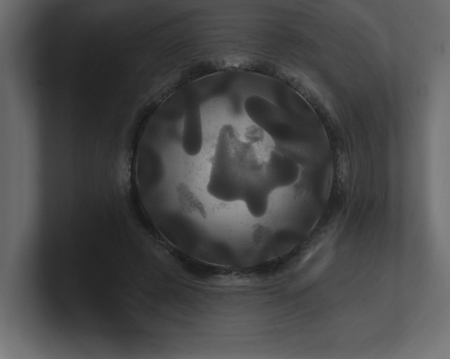 X0000100920545200806241346