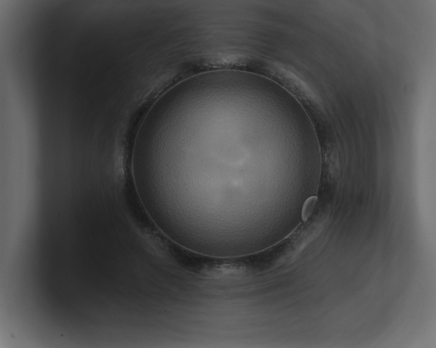 X0000100920546200806241346