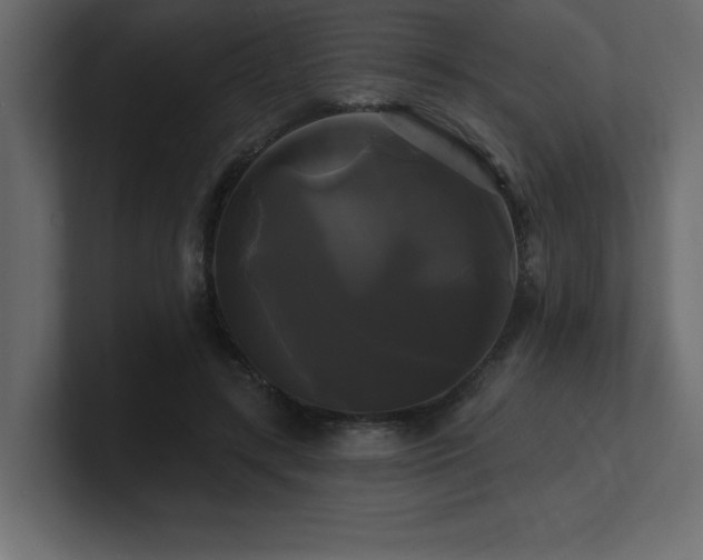 X0000100920547200806241346