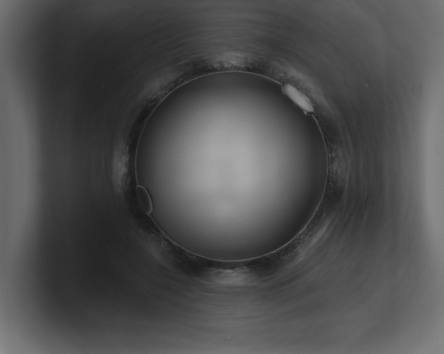 X0000100920548200806241346