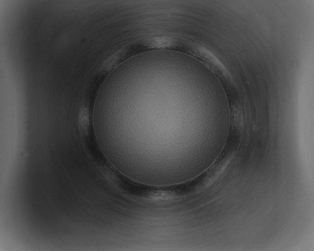 X0000100920549200806241346