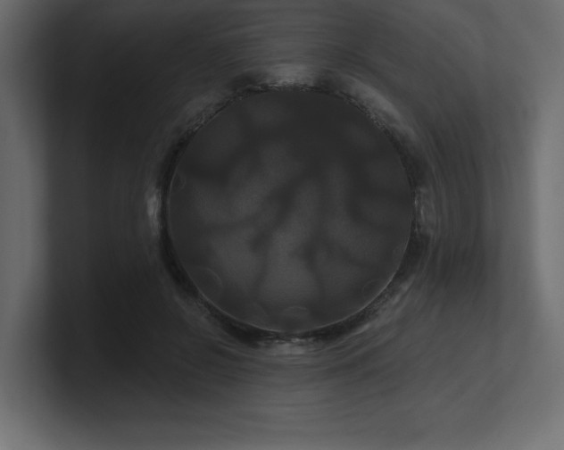 X0000100920550200806241346