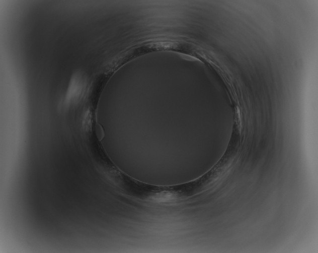 X0000100920551200806241346